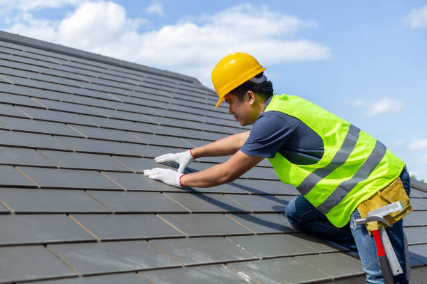 Roof Gutter Cleaning in Columbia, MS