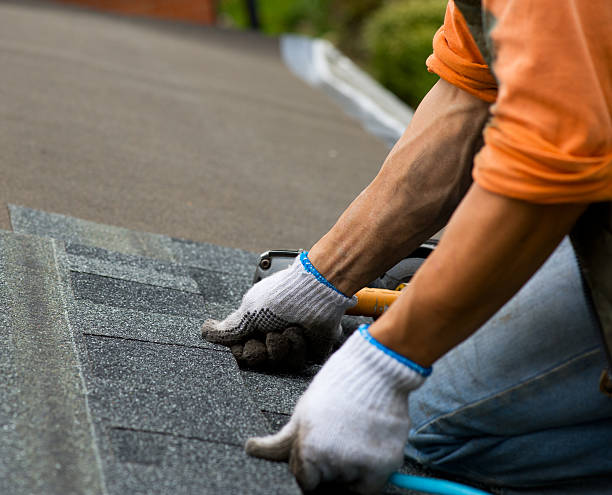 Best Commercial Roofing Services  in Columbia, MS